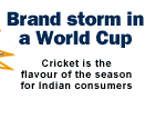 World Cup has spawned an ad blitz in India