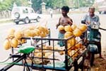 Coconut consumption within Kerala has changed