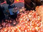 Onion price hike looms -- Sept 21, 1999
