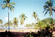 Goa's beach