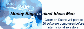 Money Bags to meet Ideas Men: Goldman Sachs will parade 20 software companies before international investors.