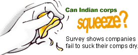 Can Indian corps squeeze?: Survey shows companies fail to suck their comps dry.
