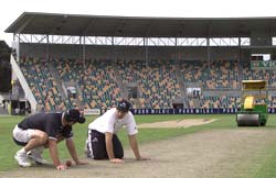 New Zealand pitch