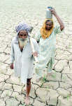 A Sikh farmer walks with his wife on their dry rice paddy. Photo: Reuters/Dikpak Kumar