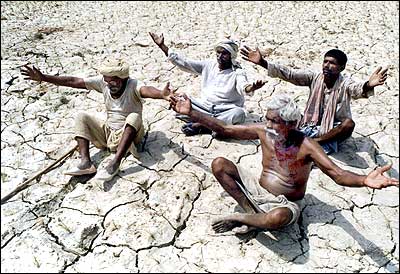 Farmers pray for rain