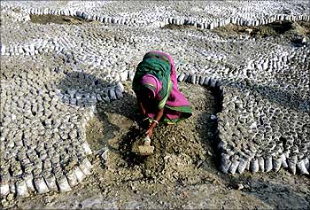 A woman digs soil to make soil packs for mangrove plantation at Mathurakhand village in Sunderbans.