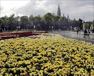 Some 100,000 roses are laid out next to Burgtheater theatre in Vienna.