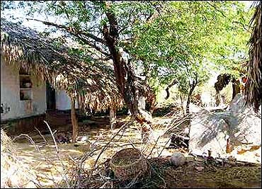 Cyber-savvy post offices to push growth