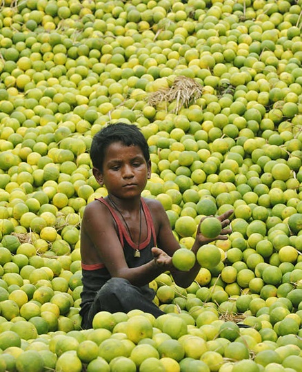 A boy selling lemons