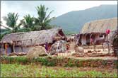 A typical village in Veerappan area