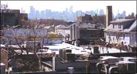 A panoramic view of Jackson Heights