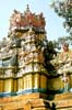 The Janardana Temple