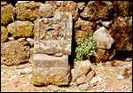 The tomb of Gangu teli's wife