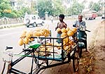 A coconut seller hawks coconut water