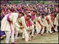 A Himachali dance