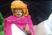 A Kota farmer celebrates the monsoon