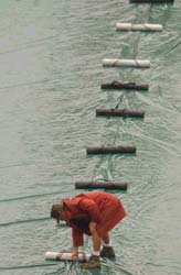 Protect the pitch as well as you can