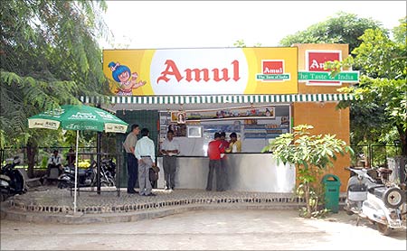 Amul infighting: Taste of India gets bitter
