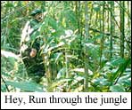 Hey, run through the jungle...