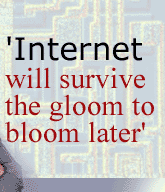 'Internet will survive the gloom to bloom later'