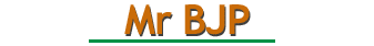 Mr BJP