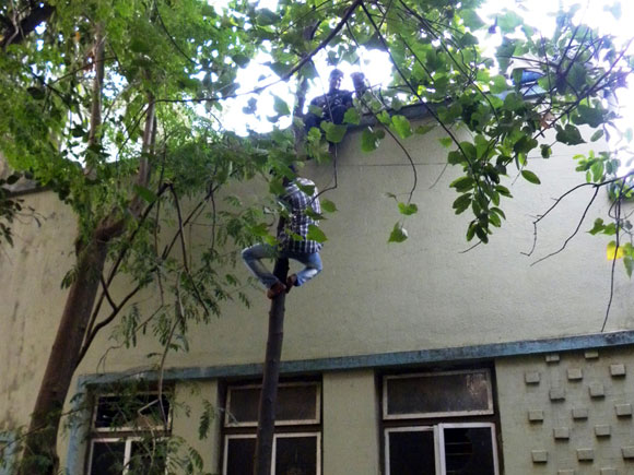 Sainiks strive for final glimpse of 'Balasaheb'