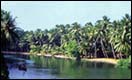 Scenic view of the backwaters